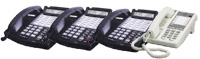 STS Phones